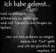 Chat Bild von Nachtspinner