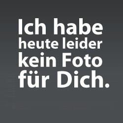 Gay Chat User diver - Bild 1 Gay Chat User diver - Bild 1