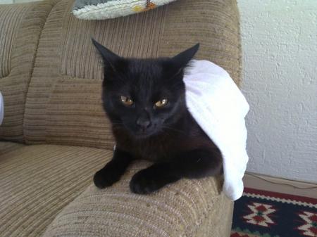 Gay Chat User helmut53 - Bild 2 Gay Chat User helmut53 - Bild 2