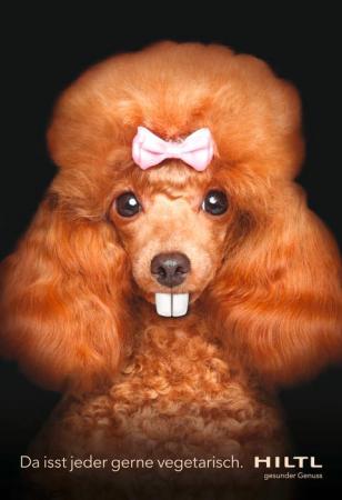 Gay Chat User frischer - Bild 1 Gay Chat User frischer - Bild 1