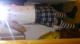 Chat Bild von merlinBLN