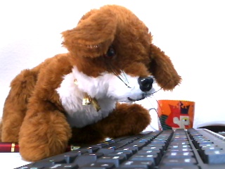 Gay Chat User andy290162 - Bild 2 Gay Chat User andy290162 - Bild 2