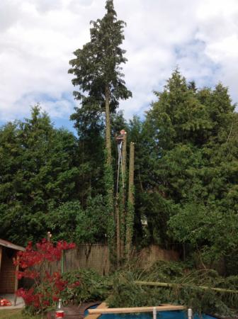 Gay Chat User farn - Bild 4