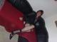 Chat Bild von tvclaudya